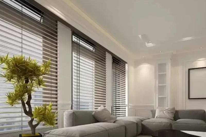 Leônidas cortinas 12